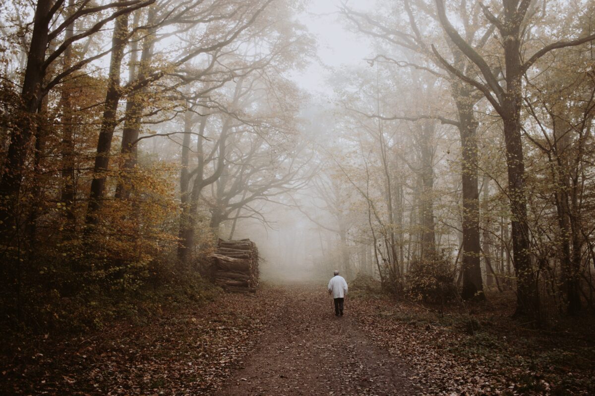 Foto oleh Mathias Reding: https://www.pexels.com/id-id/foto/pria-tak-dikenal-berjalan-di-jalan-setapak-di-antara-pepohonan-berkabut-di-musim-gugur-5869023/