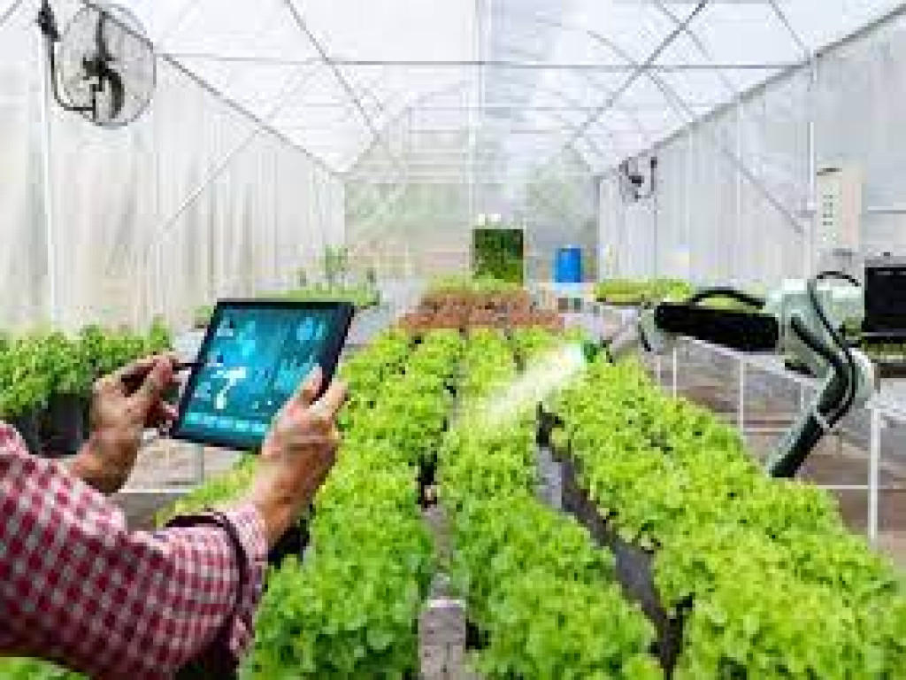 Membangun Smart Greenhouse dengan IoT: Solusi Modern untuk Pertanian Presisi